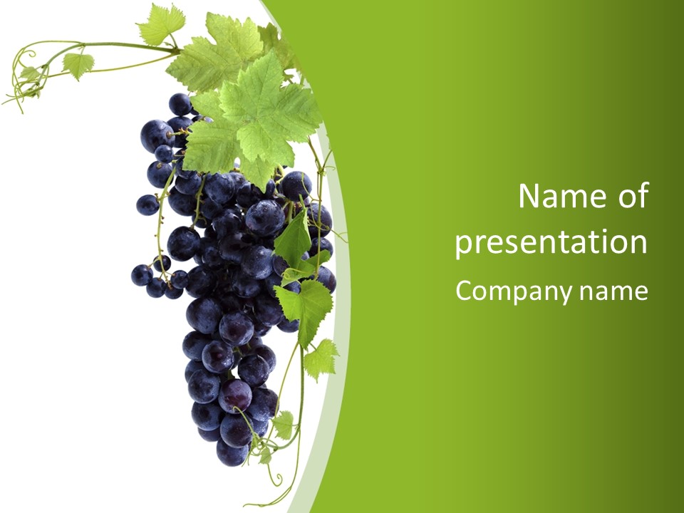 Sommelier Fruit Viticulture PowerPoint Template