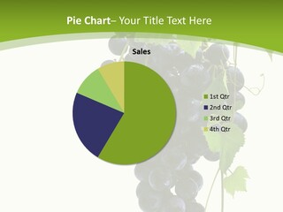 Sommelier Fruit Viticulture PowerPoint Template