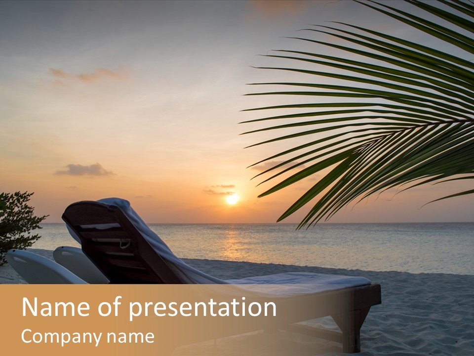 Beach Summer Palm PowerPoint Template