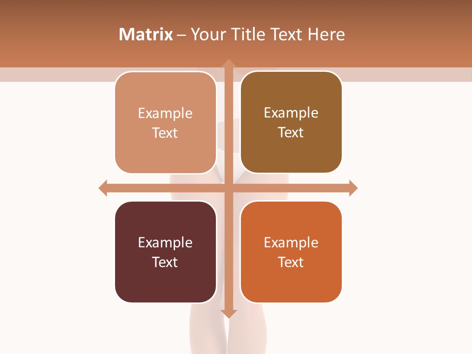 Swimsuit  Lingerie PowerPoint Template