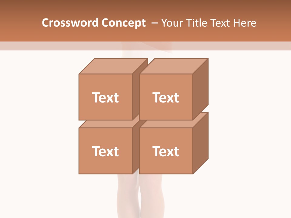 Swimsuit  Lingerie PowerPoint Template