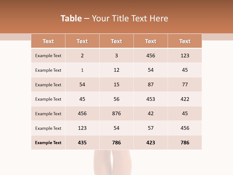 Swimsuit  Lingerie PowerPoint Template