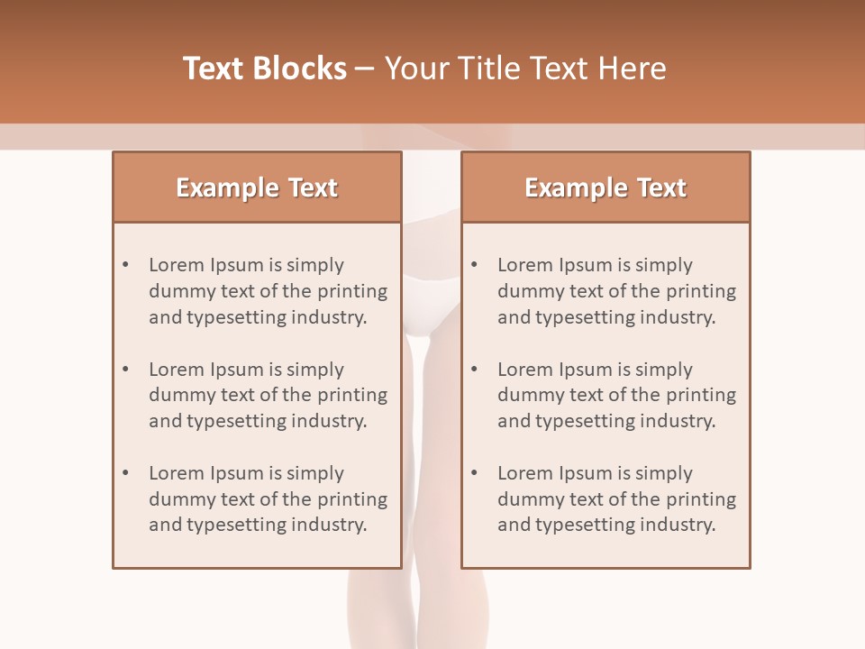 Swimsuit  Lingerie PowerPoint Template