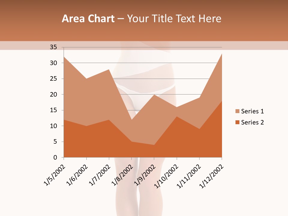 Swimsuit  Lingerie PowerPoint Template