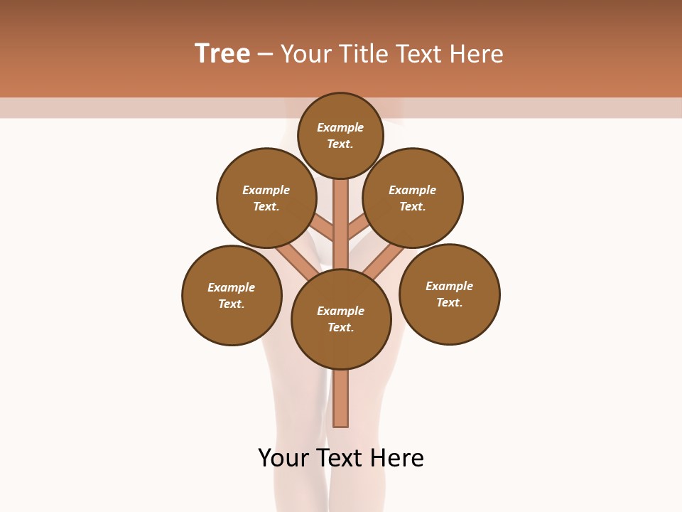 Swimsuit  Lingerie PowerPoint Template