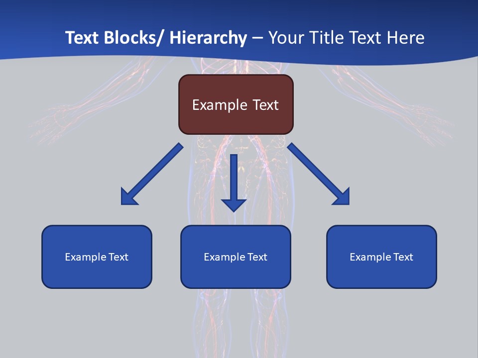 Medical Lifestyle Biology PowerPoint Template