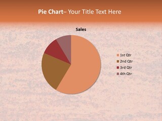 Pattern Steel Door PowerPoint Template