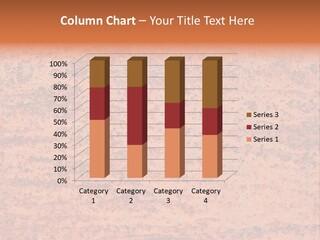 Pattern Steel Door PowerPoint Template