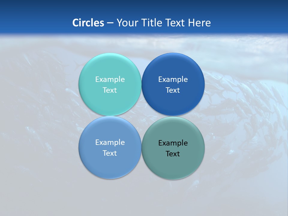 Tropical Southeast Wet PowerPoint Template