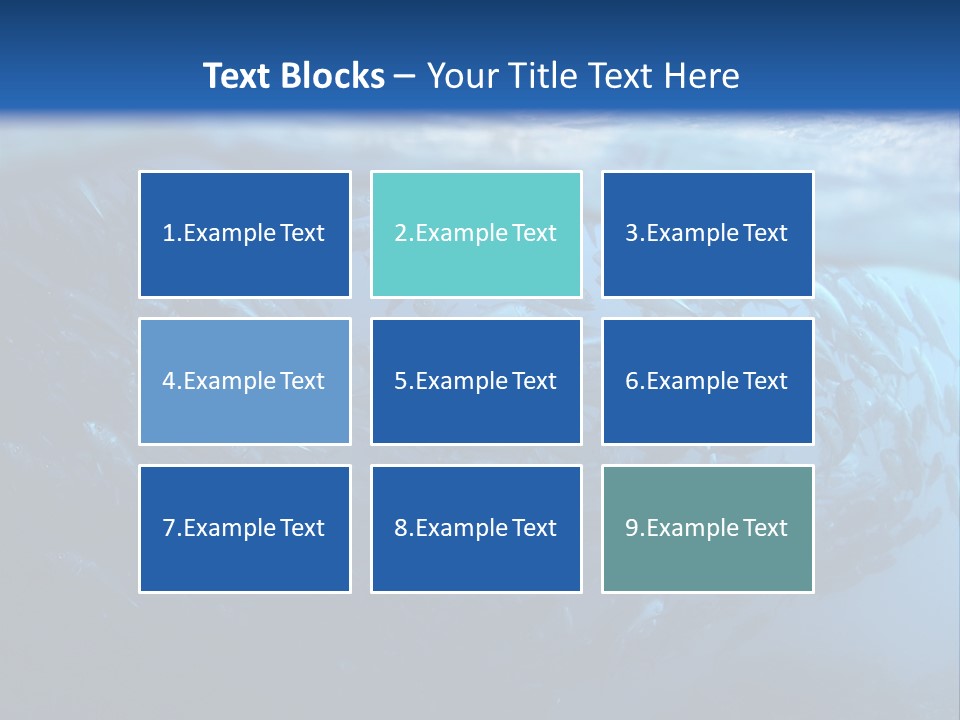 Tropical Southeast Wet PowerPoint Template