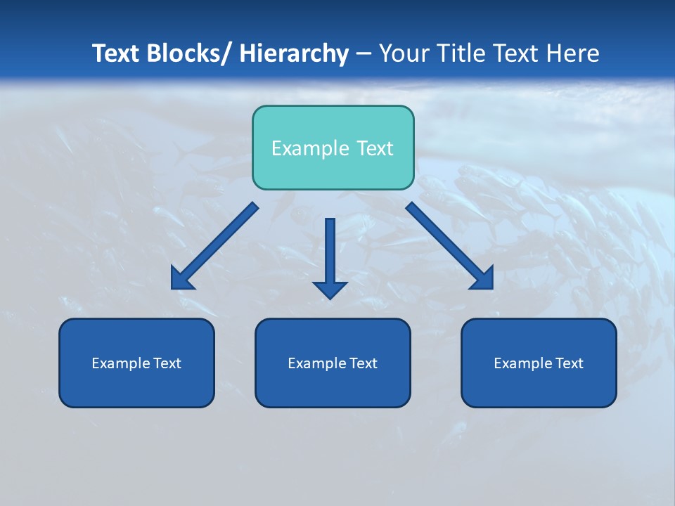 Tropical Southeast Wet PowerPoint Template