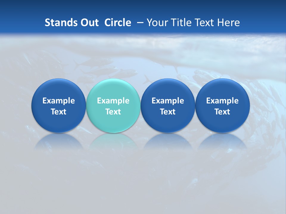 Tropical Southeast Wet PowerPoint Template