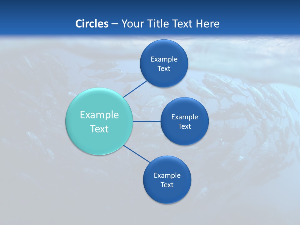Tropical Southeast Wet PowerPoint Template
