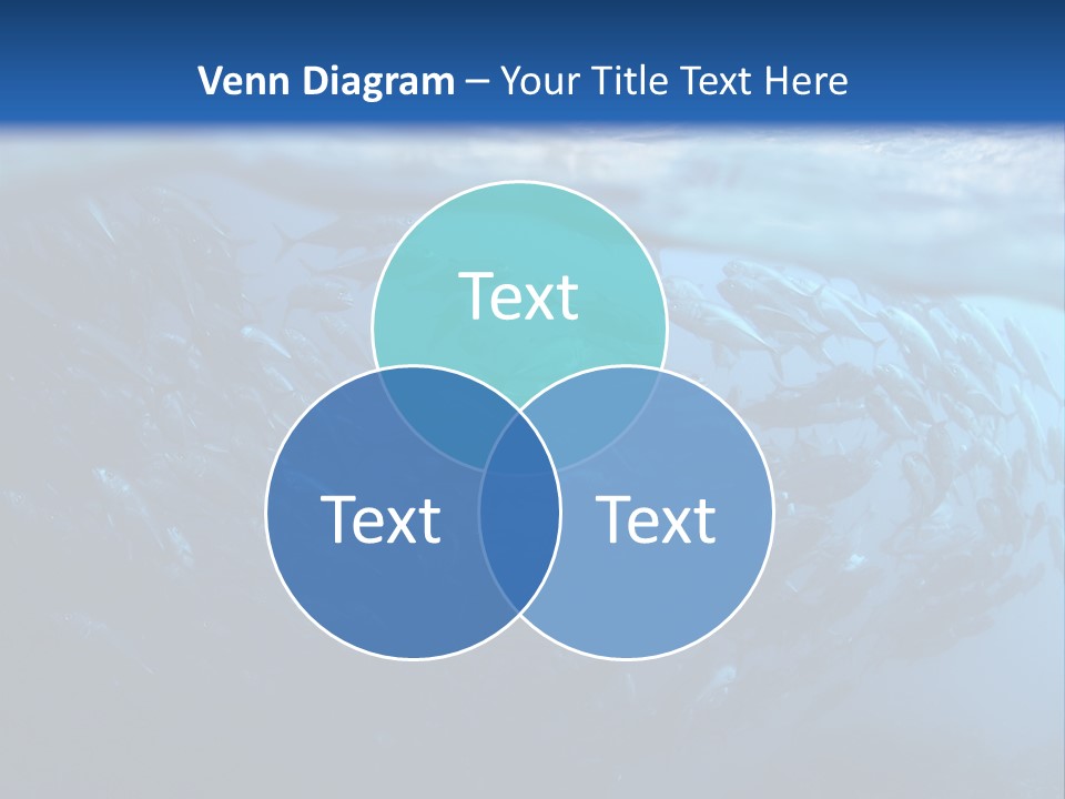 Tropical Southeast Wet PowerPoint Template