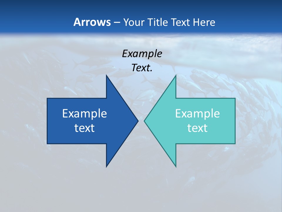 Tropical Southeast Wet PowerPoint Template