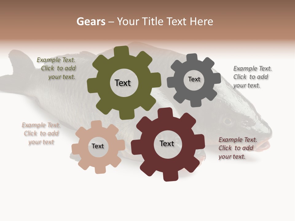 Raw Food Gourmet PowerPoint Template