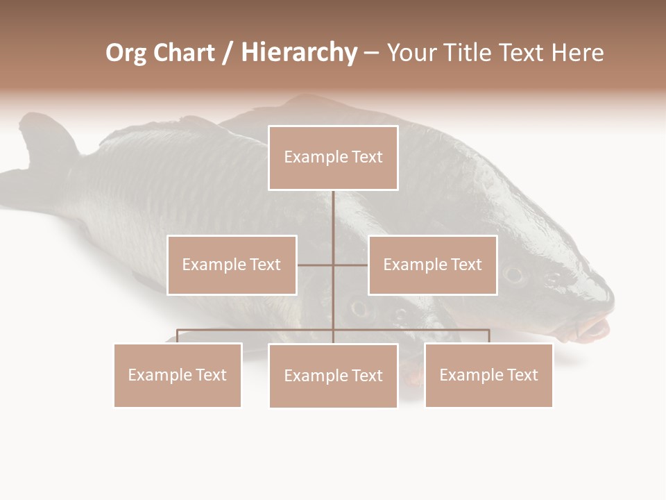 Raw Food Gourmet PowerPoint Template