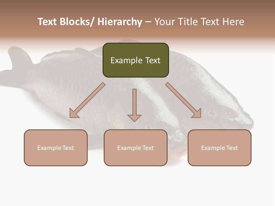 Raw Food Gourmet PowerPoint Template
