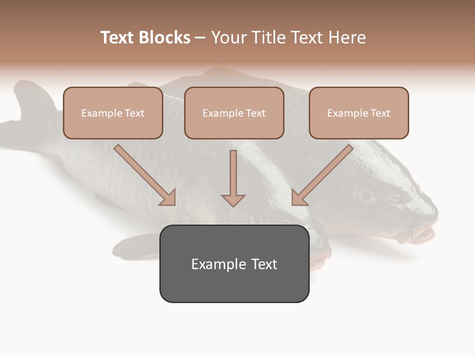 Raw Food Gourmet PowerPoint Template