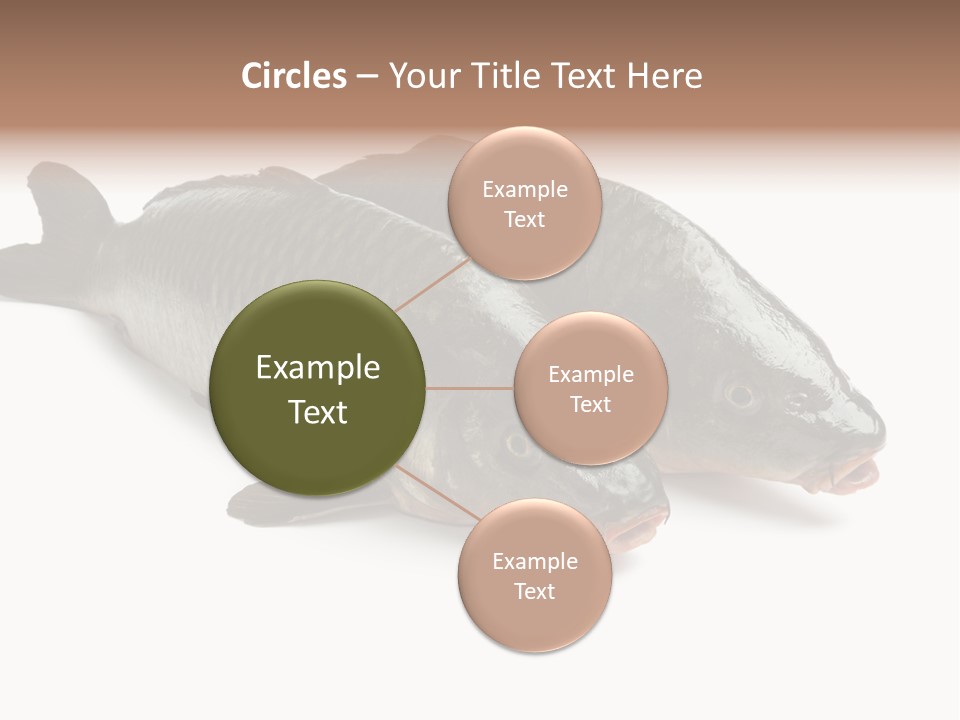 Raw Food Gourmet PowerPoint Template