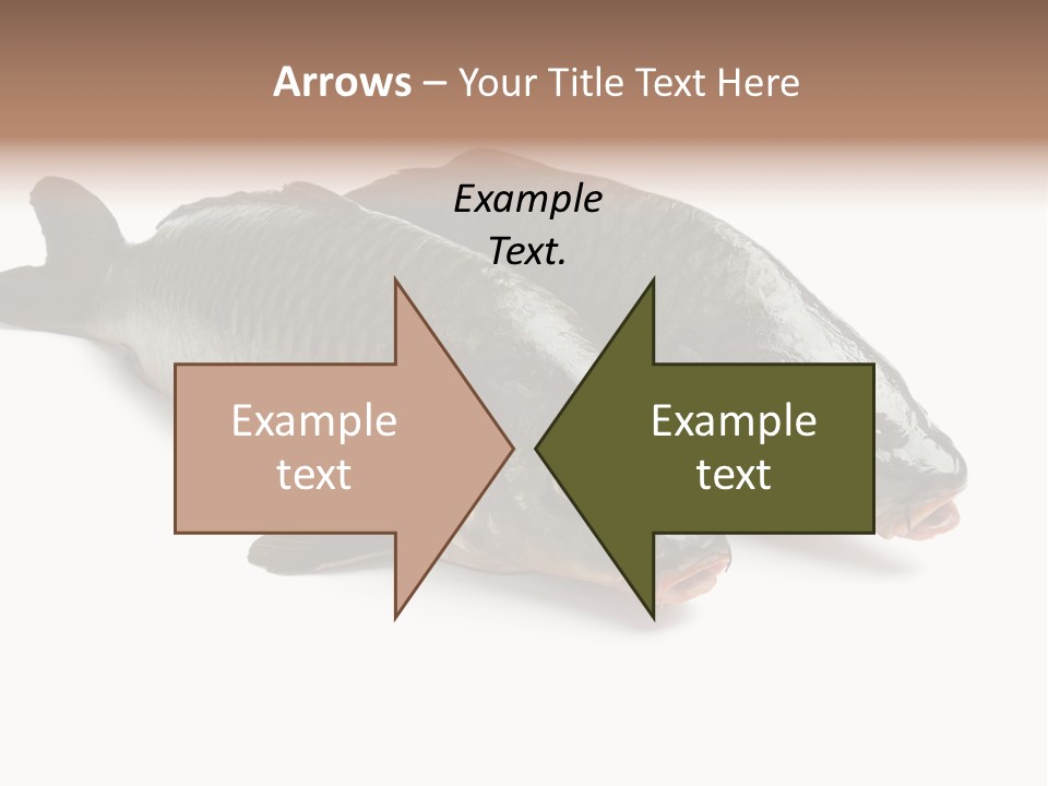 Raw Food Gourmet PowerPoint Template