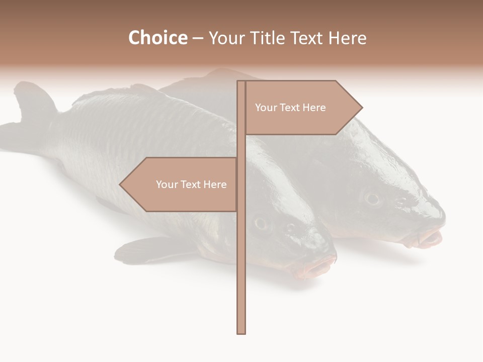 Raw Food Gourmet PowerPoint Template