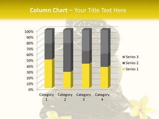 Nature Stone Plumeria PowerPoint Template