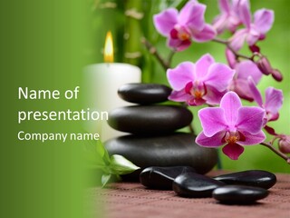 Rock Green Tropical PowerPoint Template