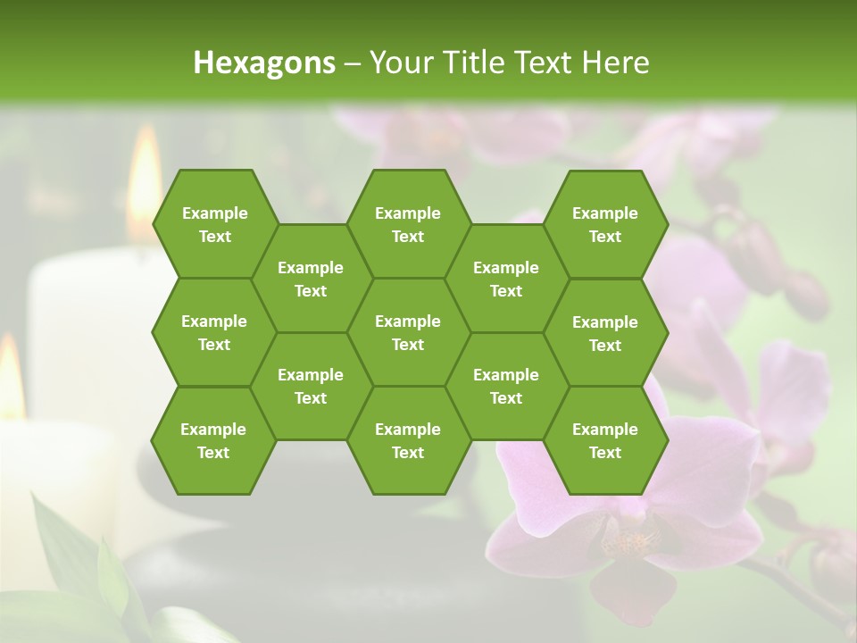 Rock Green Tropical PowerPoint Template