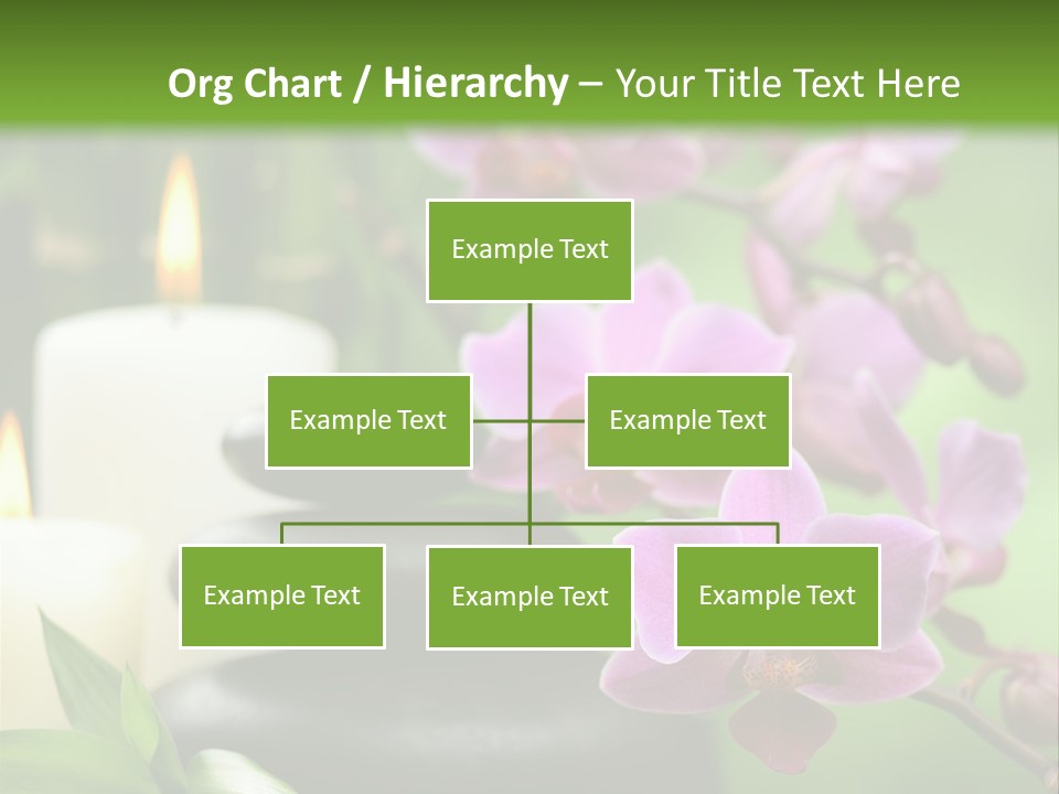 Rock Green Tropical PowerPoint Template