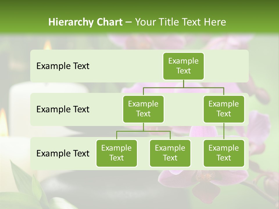 Rock Green Tropical PowerPoint Template