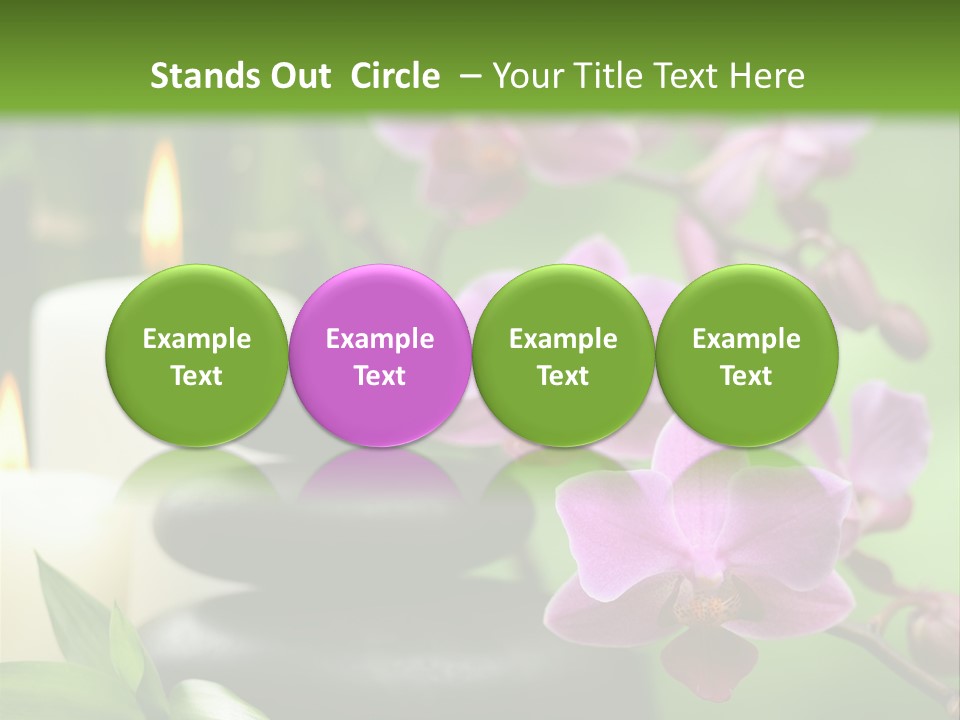 Rock Green Tropical PowerPoint Template