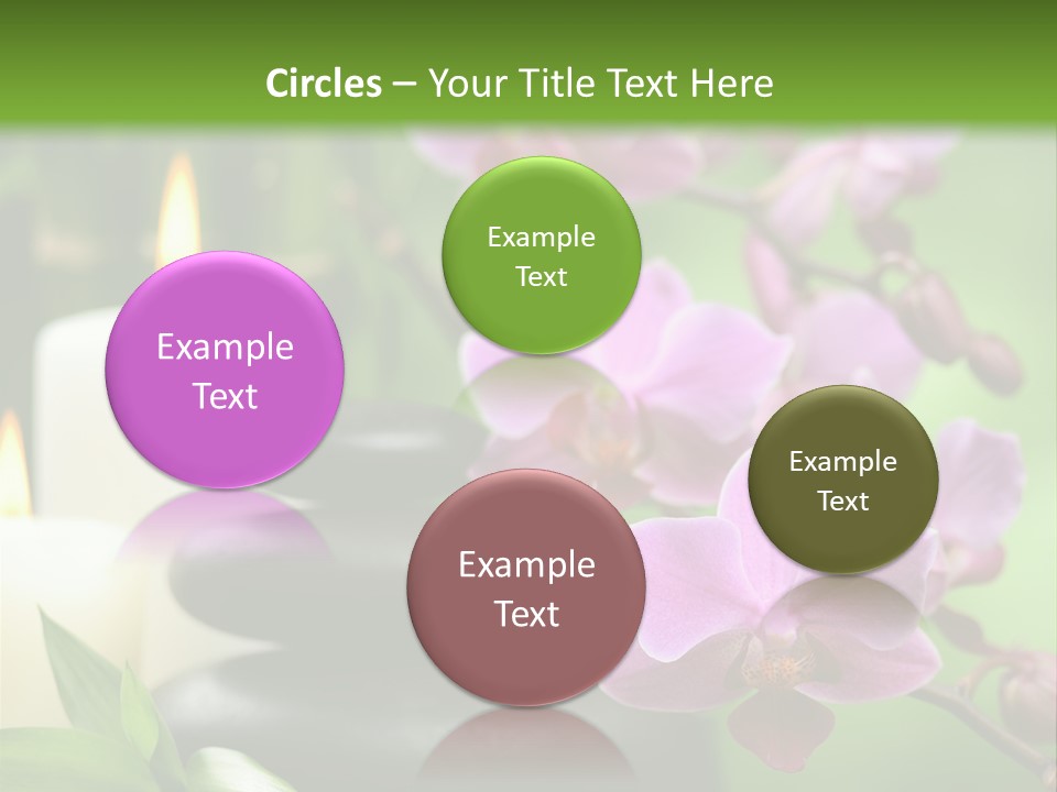 Rock Green Tropical PowerPoint Template