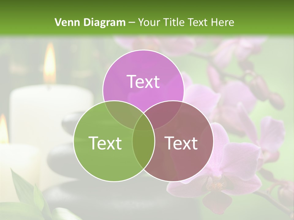 Rock Green Tropical PowerPoint Template