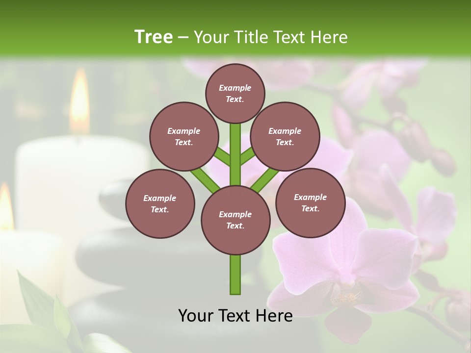 Rock Green Tropical PowerPoint Template