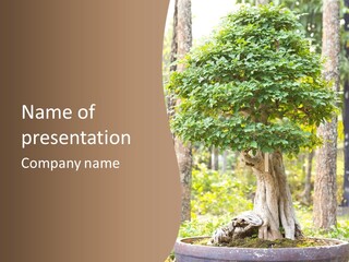 Gardening Stylish Branch PowerPoint Template