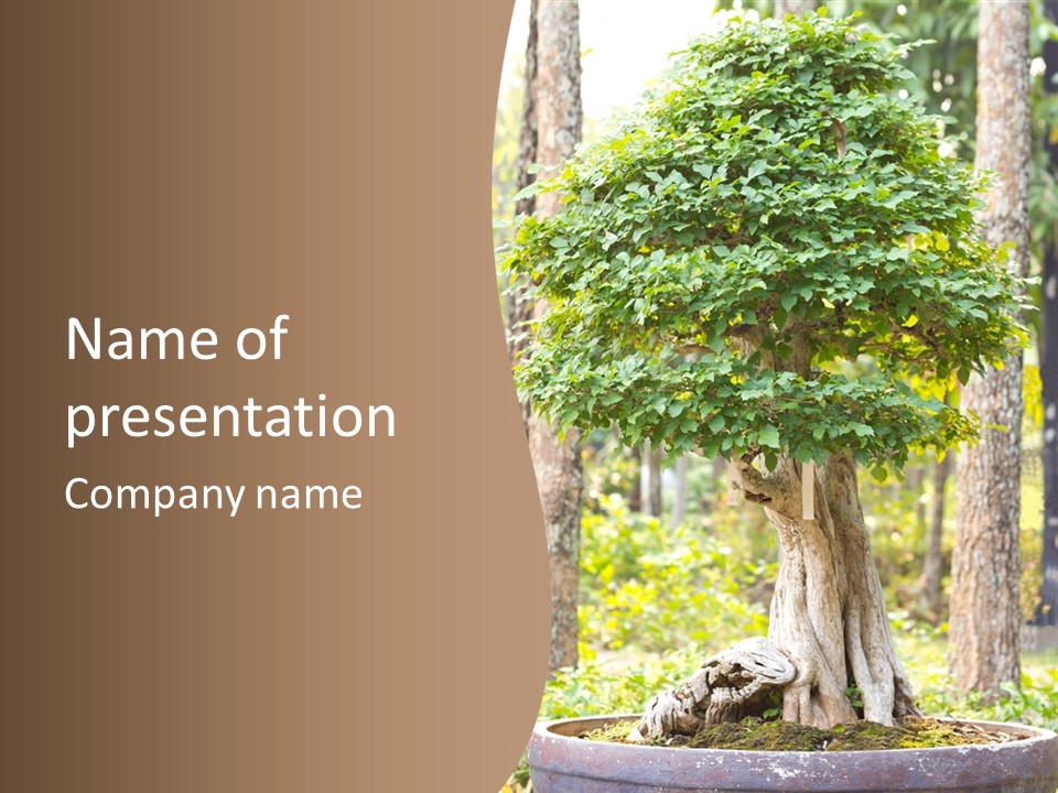 Gardening Stylish Branch PowerPoint Template