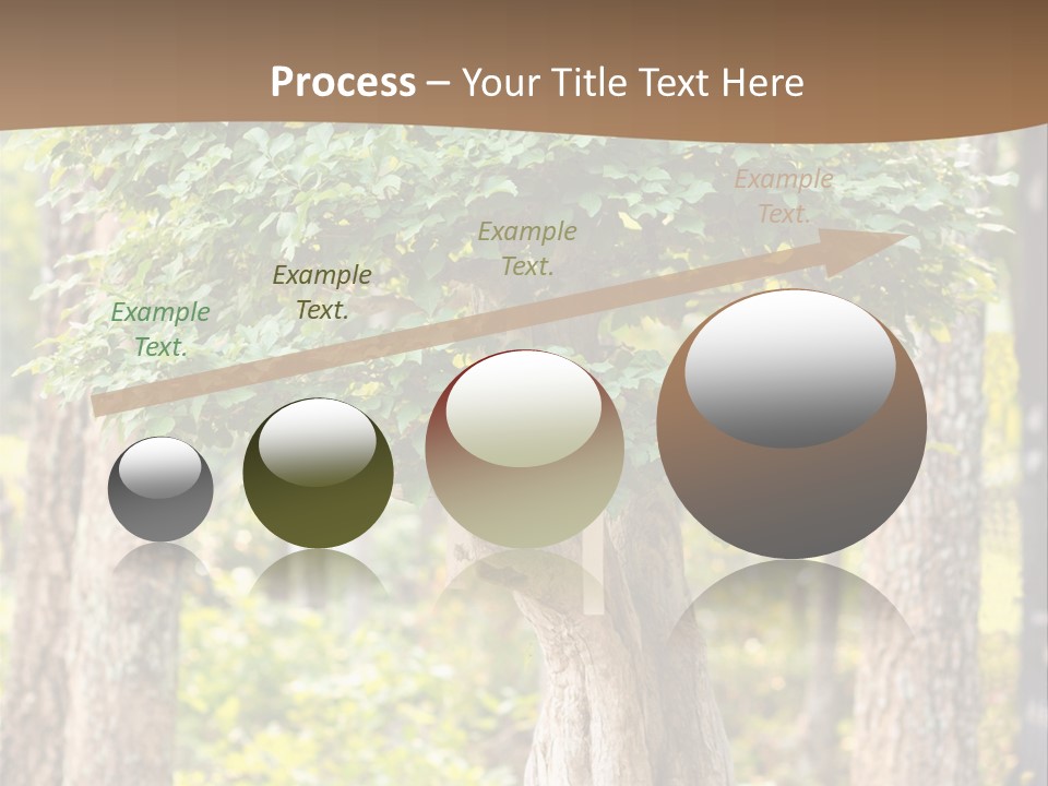 Gardening Stylish Branch PowerPoint Template