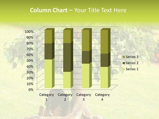 Stylish Art Soil PowerPoint Template