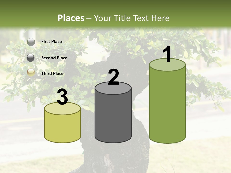 Dome Potted Chinese PowerPoint Template