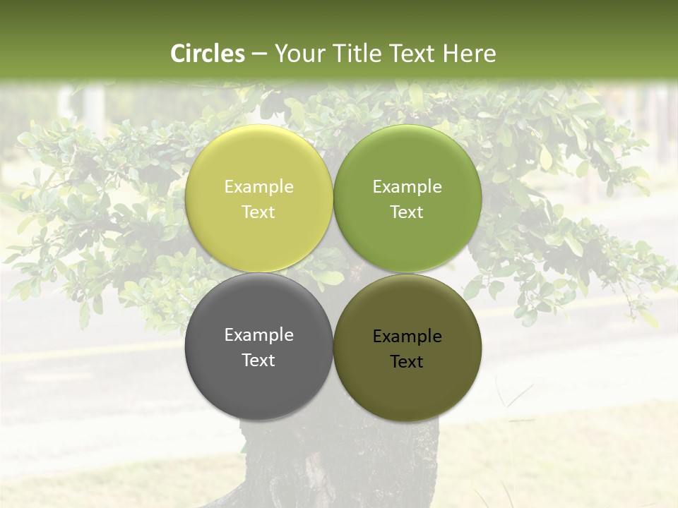 Dome Potted Chinese PowerPoint Template