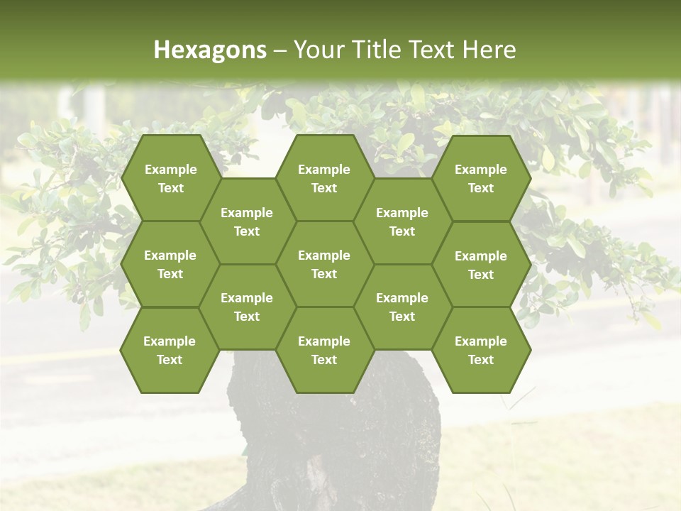 Dome Potted Chinese PowerPoint Template