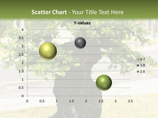 Dome Potted Chinese PowerPoint Template