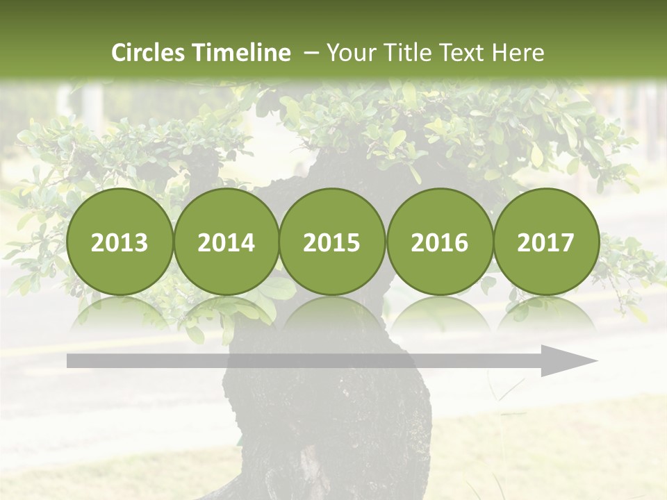 Dome Potted Chinese PowerPoint Template