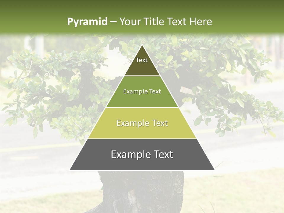 Dome Potted Chinese PowerPoint Template