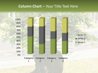 Dome Potted Chinese PowerPoint Template