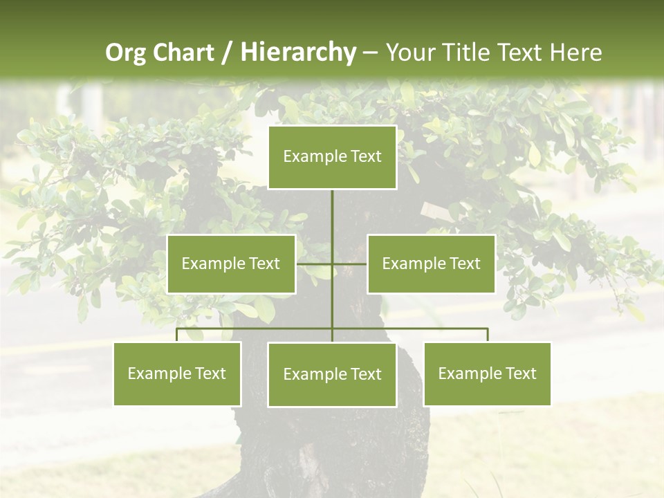 Dome Potted Chinese PowerPoint Template