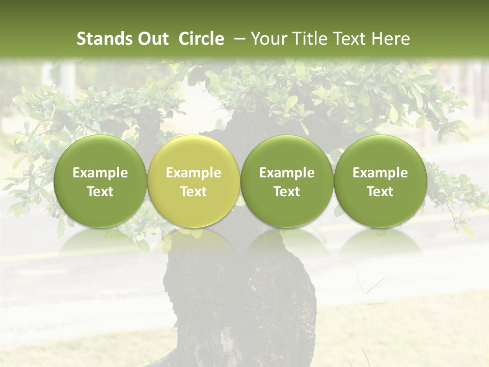 Dome Potted Chinese PowerPoint Template