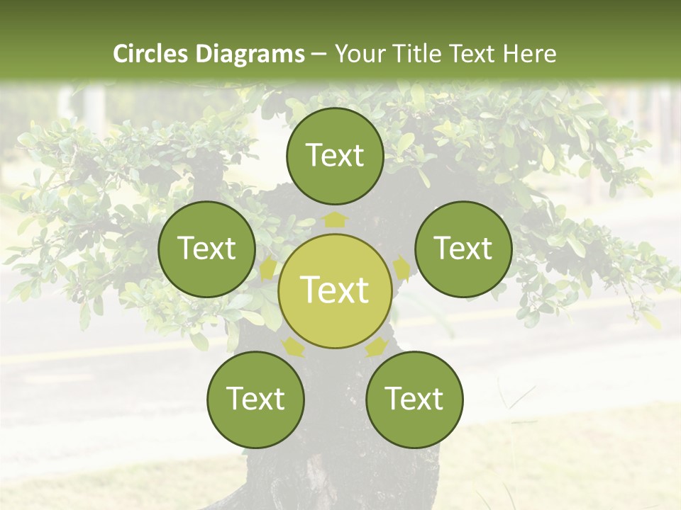 Dome Potted Chinese PowerPoint Template