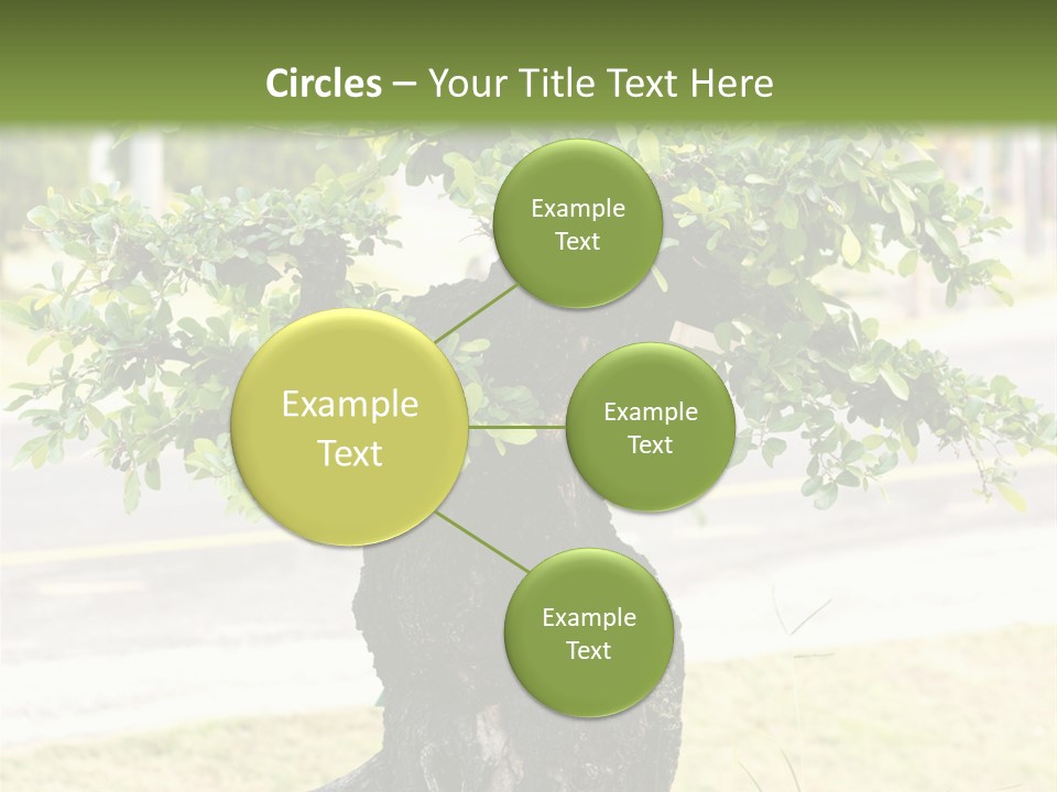 Dome Potted Chinese PowerPoint Template